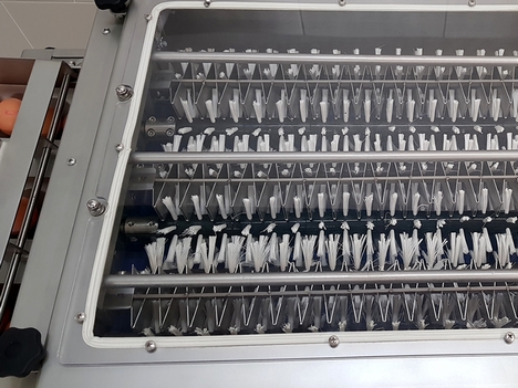 MT 6 Continuous Egg Washer