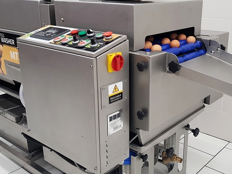 MT 8 Continuous Egg  Washing Machine