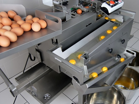 RZ 1 Yumurta Ayırma Makinesi