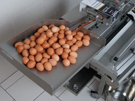 RZ 1 Yumurta Ayırma Makinesi