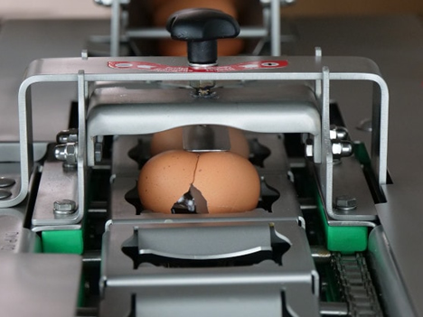 RZ 1 Egg Machine