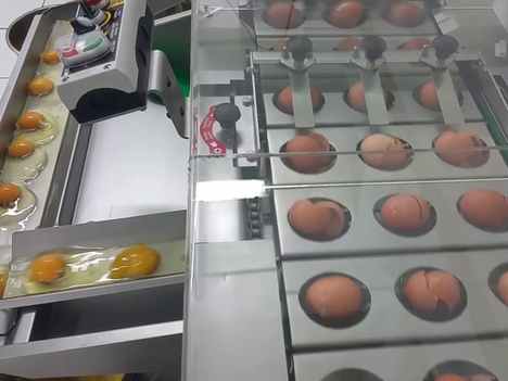 RZ 3 Egg Separator