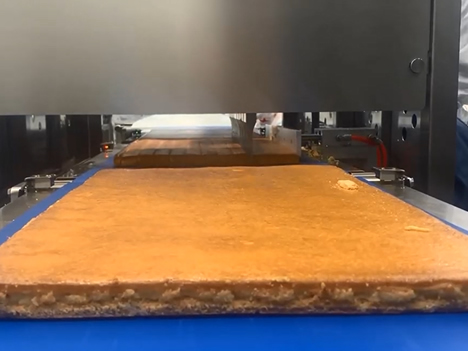 UFM 8000 Ultrasonic Sponge Cake Slicer With Conveyor