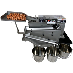 RZ 1 Egg Machine