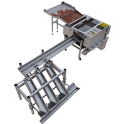 RZ 8 Egg Breaking And Separating Machine