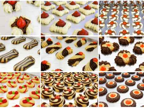 CreaLine Cookie and Biscuit Production Line