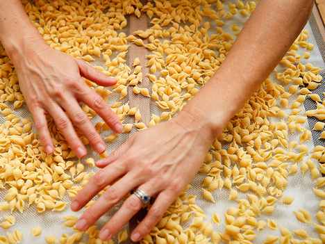 EC100 Pasta Drying Room