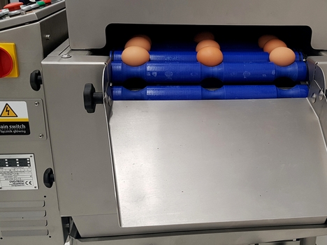MT 8 Konveyörlü Yumurta Yıkama Makinası