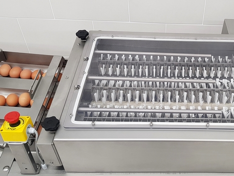 MT 6 Continuous Egg Washer