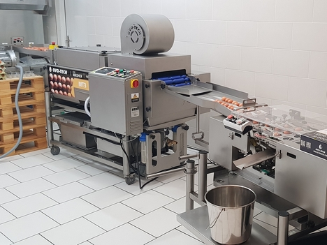 MT 6 Continuous Egg Washer