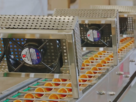 Otomatik Dondurma  Sarma Külah Üretim Hattı