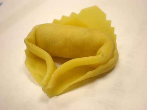 RAM 250 Tortellini Makinesi