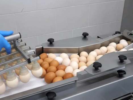RX 2 Egg Break Machine