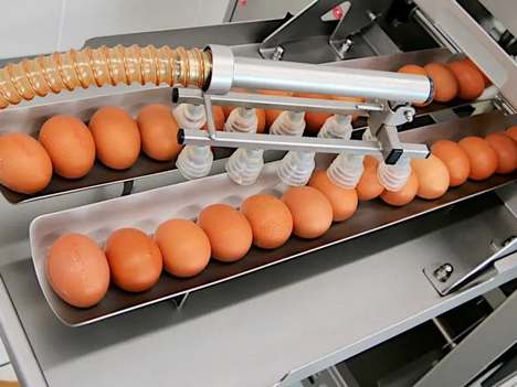 RX Nano Yumurta Ayırma Makinesi