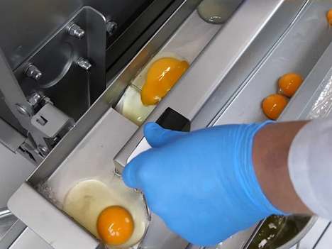 RX Nano Yumurta Ayırma Makinesi
