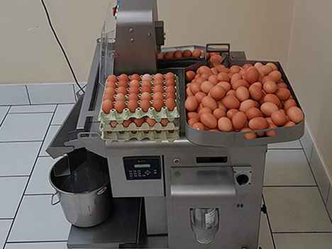 RZ 0 Yumurta Kırma Makinesi