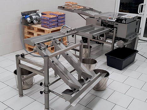 RZ 6 Egg Break Machine