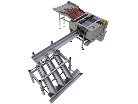 RZ 8 Egg Breaking And Separating Machine