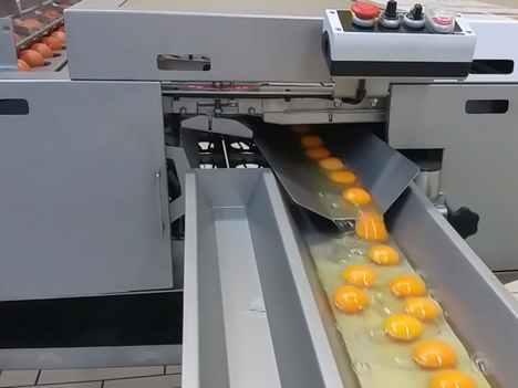 RZ 8 Egg Breaking And Separating Machine