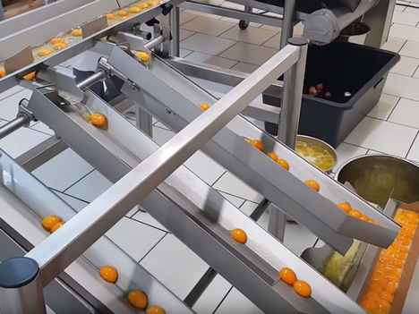 RZ 8 Egg Breaking And Separating Machine