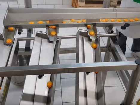 RZ 8 Egg Breaking And Separating Machine