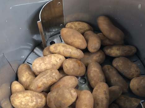 TR500 Automatic Vegetable Peeling Machine