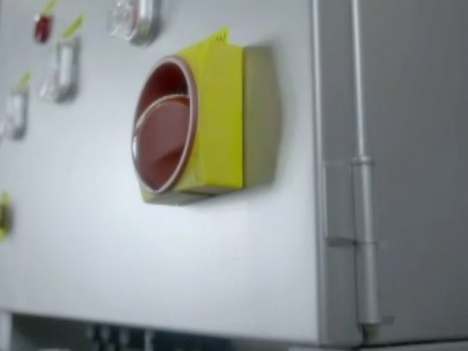 TW3000VR Automatic Conveyor Vegetable Washing Machine