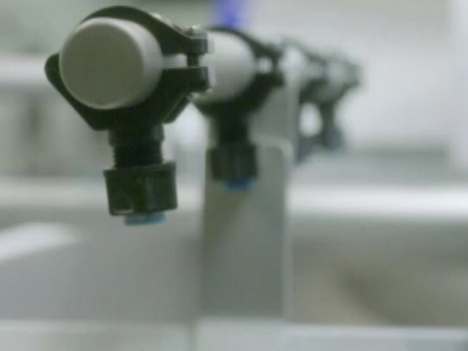 TW3000VR Automatic Conveyor Vegetable Washing Machine