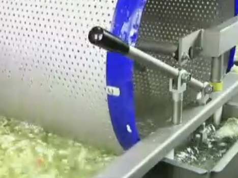 TW3000VR Automatic Conveyor Vegetable Washing Machine
