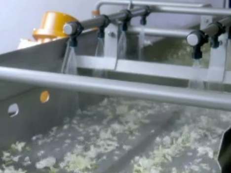 TW3000VR Automatic Conveyor Vegetable Washing Machine