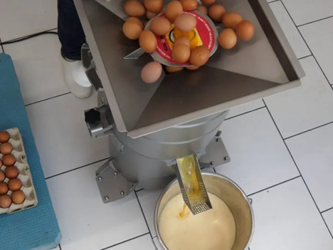 UDTJ 10 Яйцо Центрифуга