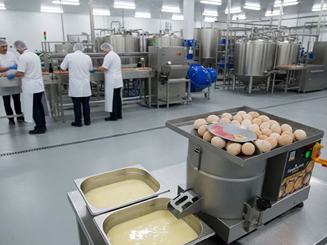 UDTJ 5 Egg Centrifuge