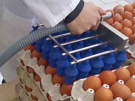 VEL 30 Vakumlu Yumurta Taşıma Makinesi