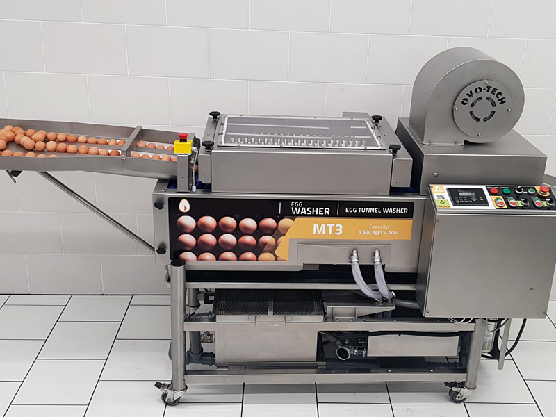 MT 8 Continuous Egg Washing Machine 