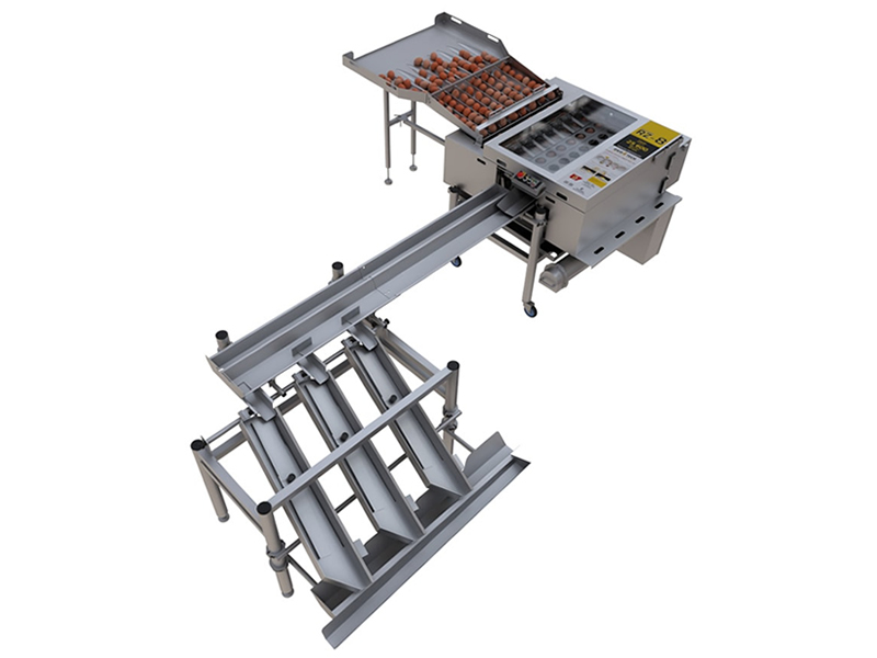 Automatic Egg Breaking Machine, Egg Processing Machine Supplier