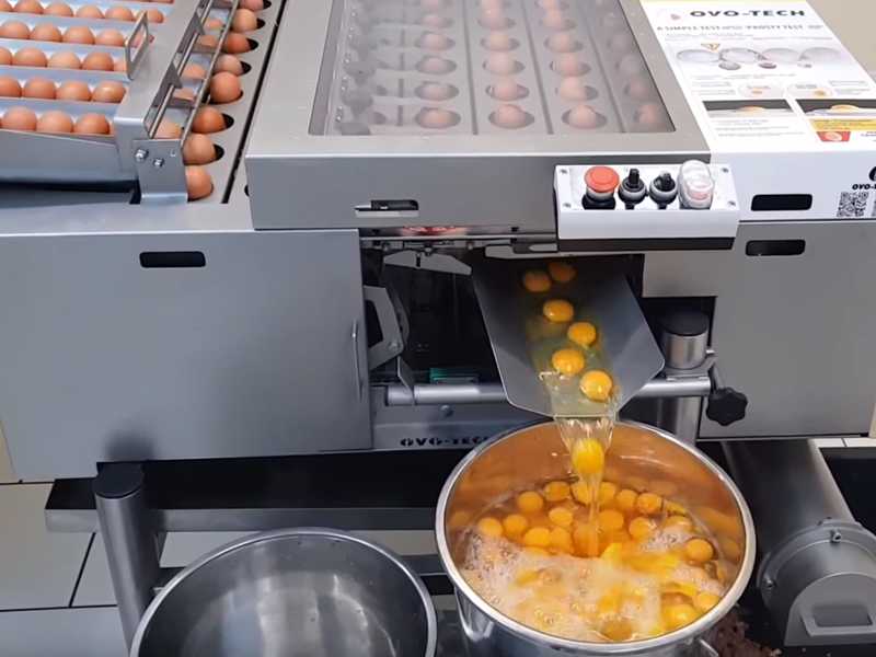 RZ 8 Egg Breaking And Separating Machine Gidamak
