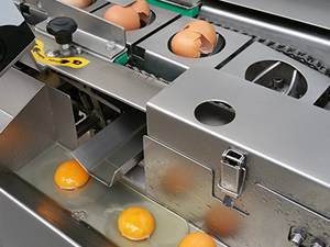 Yumurta Kırma Ayırma Makineleri